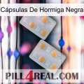 Cápsulas De Hormiga Negra 25